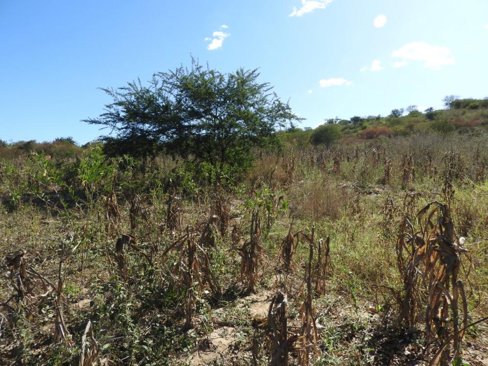 Bahia tem mais de 60 Comunidades Quilombolas atingidas pelas enchentes