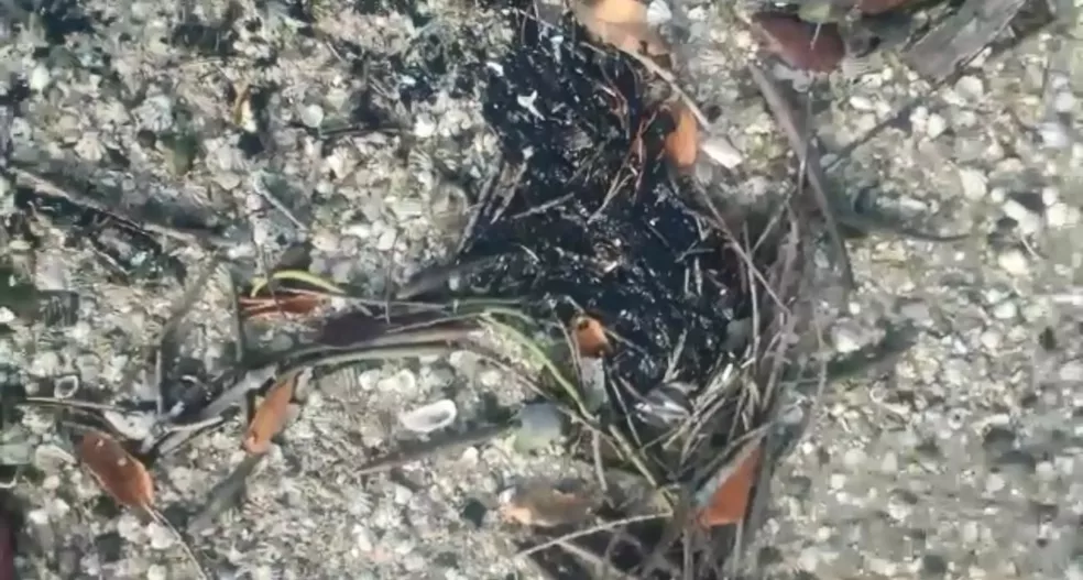 Manchas de óleo são encontradas em praias da Bahia