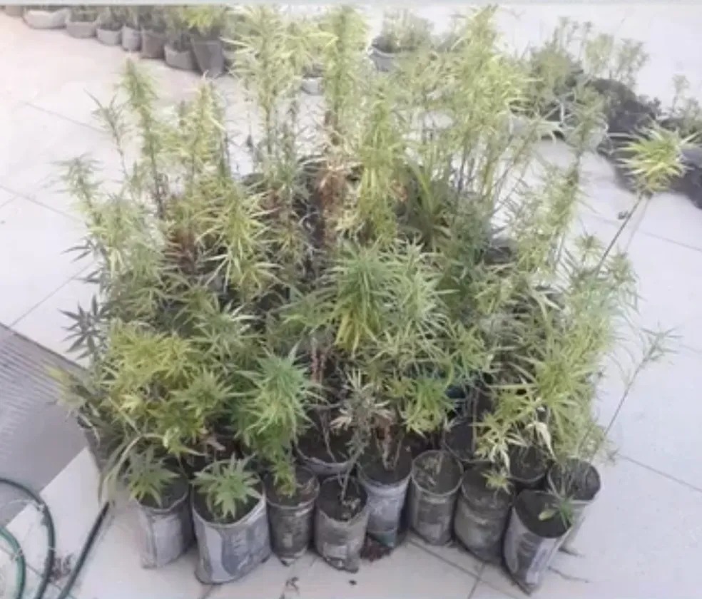 Foto: Reprodução TV Sudoeste