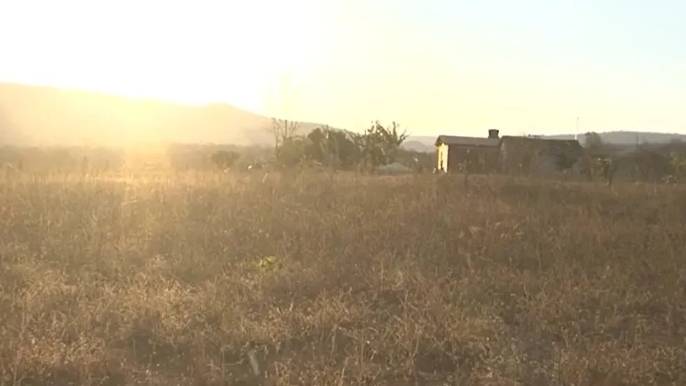  Foto: Reprodução/TV Sudoeste