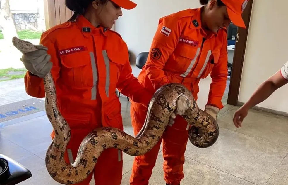 Foto: Corpo de Bombeiros