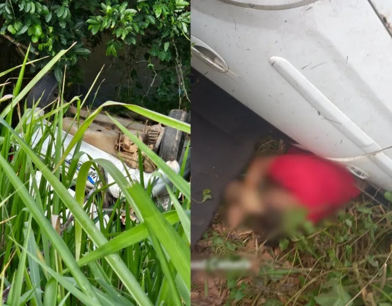 Foto: Reprodução