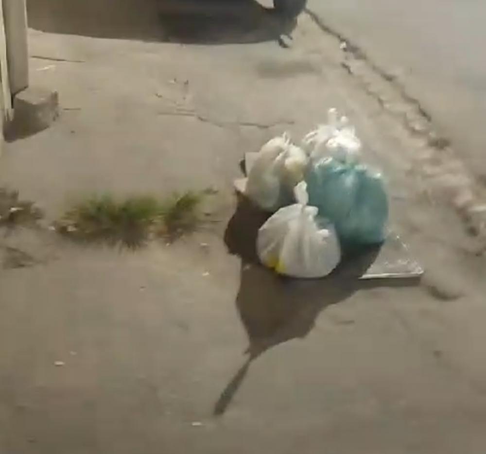 Foto: Reprodução
