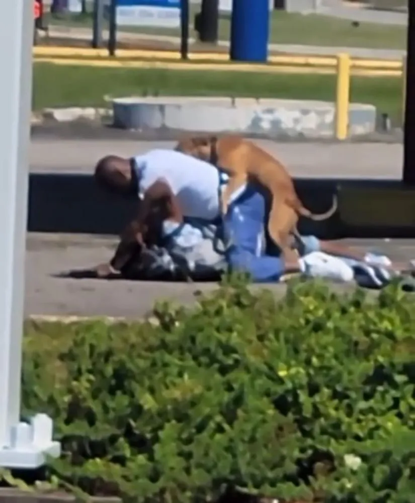 Foto: Reprodução/Redes Sociais