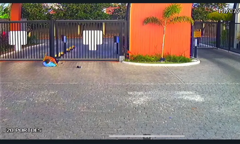 Reprodução redes sociais 